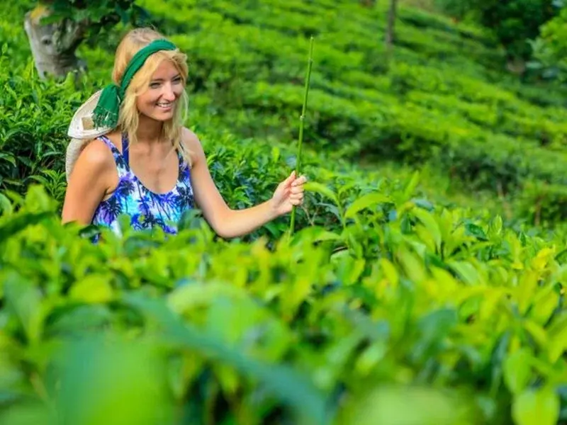 Sri Lanka Experience