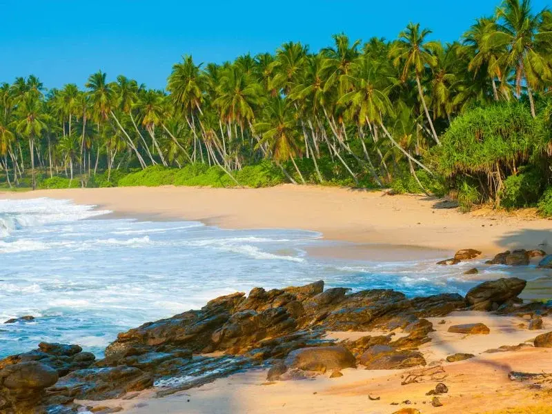 Sri Lanka Highlights